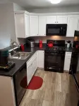 Beautiful new Lake Erie- view rental - Wifi