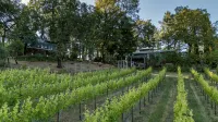 Modern Compound on Private Vineyard, Complete with Guest House - 5 ดาว
