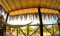 Bamboo Lodge - Gym