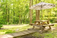 4PelicansOhio: Relaxing Cabin Near Leesville Lake ~Pets Welcome~ 2 Queens & 1F - Wifi