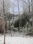 Close to Town, Private, Hot Tub, Fireplace, Fire Pit - Chalets