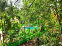 Maya Mountain Lodge - Pool