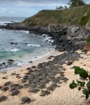 Come to Maui-  Beautiful 2BD/3BA  OceanView Kapalua Ridge Villa - Villas
