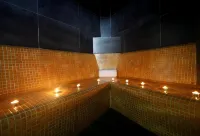 Apartahotel & Spa Jacetania - Suối nước nóng