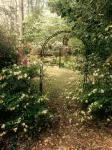 Carriage House Villa and gardens in downtown historic Lexington SC - WiFi