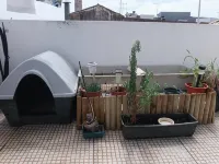 Guest House Capitao Mor - 3-Star