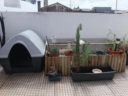總隊長旅館