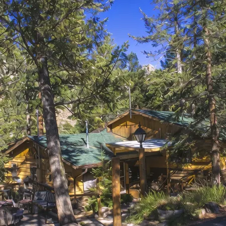 Pine Haven Resort