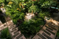 Cabinas Playa Surf Hostel - 2-Star