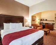 Comfort Suites Dulles Airport - 2-Sterne