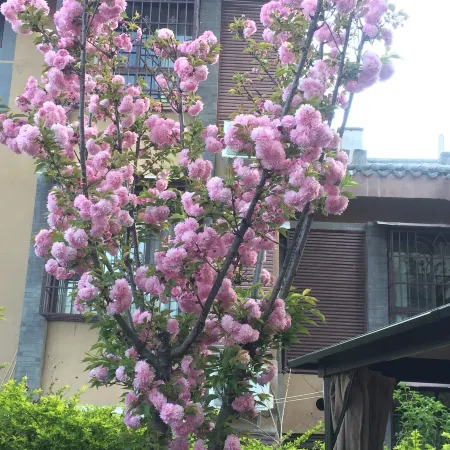 Xichang Bihaiting Chinese Inn
