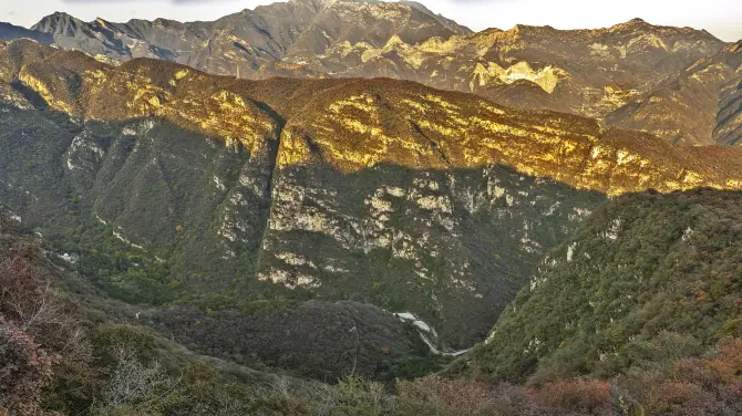 วิวใบไม้แดงของเหมาจิน