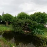 Postoyaly Dvor Yam Hotels in Tosnensky District