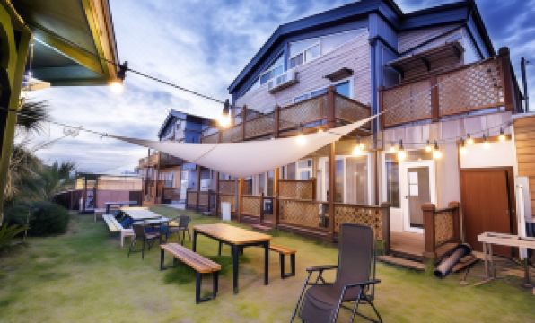 10. 제주 해바라기 ..