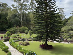 Hotel Dos Ríos Volcán