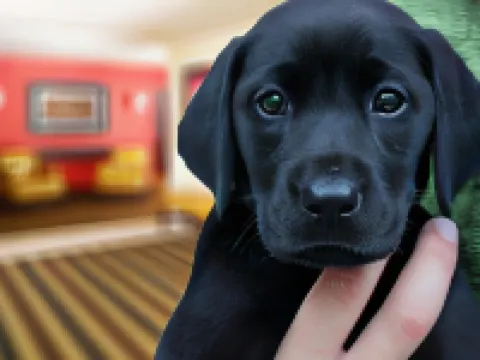 Extended Stay America Select Suites - Fayetteville - Springdale Hotels in Springdale