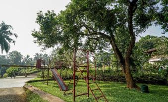 Teak Town