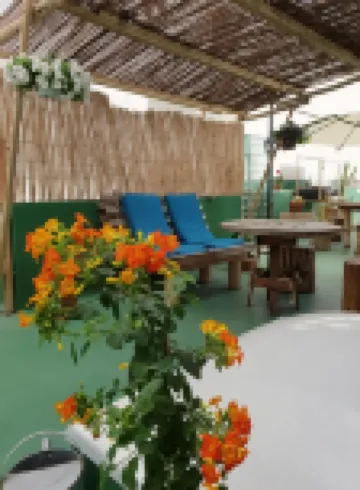 仙人掌青年旅舍