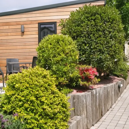 Quinlan & Cooke Boutique Townhouse and QCs Seafood Restaurant