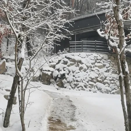 Daon Forest Pension
