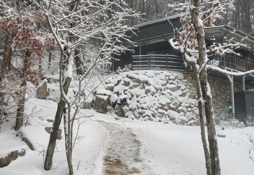 인제 다온숲펜션