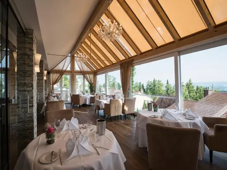 Design-Konferenzhotel & Restaurant Steinernes Schweinchen Отели в г. Баунаталь