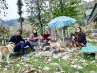 Vamoose Temi Hotel a Namchi