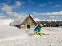 Natural Chalet with Whirlpool