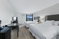 The Vista Inn