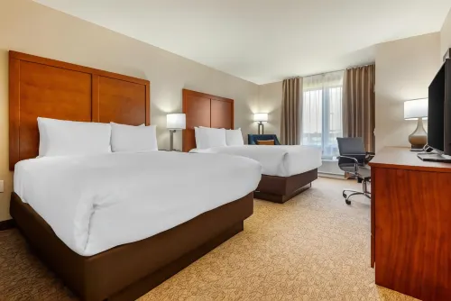 컴포트 인 & 스위트