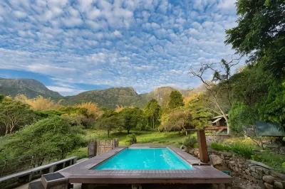 Jungle Hut