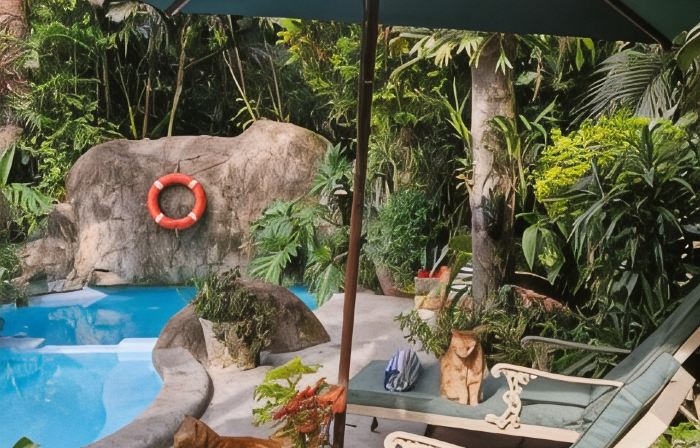 African Ambience Guest House