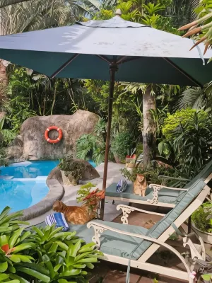 African Ambience Guest House - Pensionat