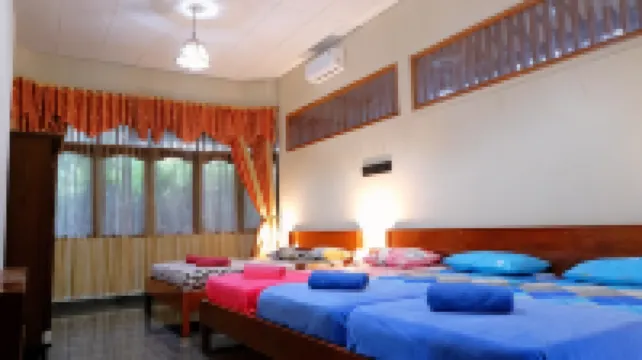 Sleepy Raccoon Hostel