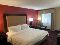 Wyndham Garden Dover Hotel a Kent County