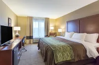 Comfort Inn & Suites Zachary Hotels in Zachary