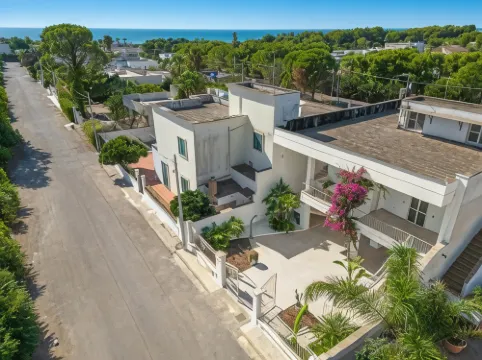 斯特拉迪馬爾木屋飯店