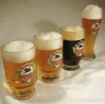 호텔 페가스 브르노