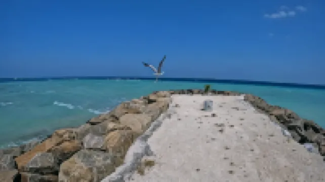 Rashuthere Maldives Hotel di Rasdhoo