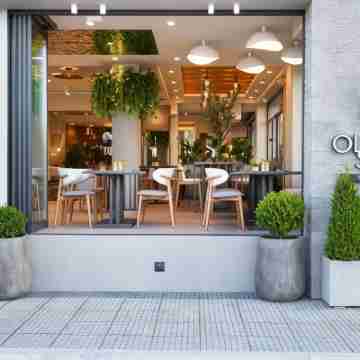 Olympic Star Beach Hotel Hotel Exterior