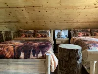 Bear Creek Hideaway Log Cabin on River Fishing & WiFi on Kebler Pass