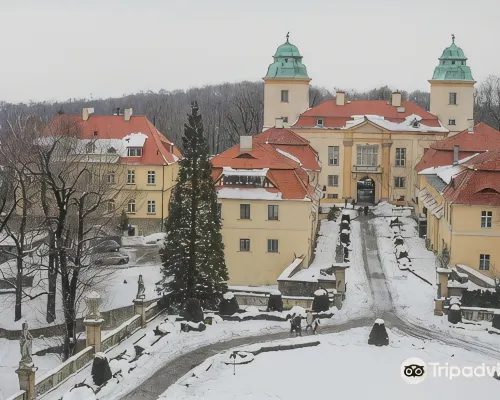 Hotel Zamkowy Hotels in Walbrzych