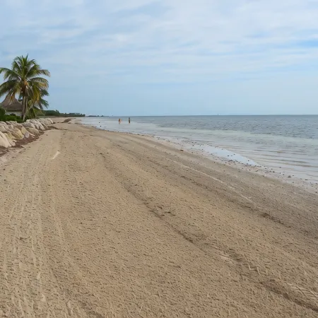 BEACHFRONT CONDO on Coco Plum Beach with Heated Pool