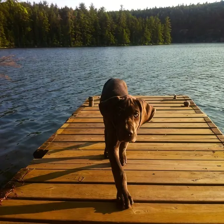 Perfect Lakeside Getaway - Craig's Pond Cabin (45m from Acadia National Park)