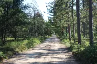 馬斯基根河畔，40英畝私人土地的僻靜木屋，可通往越野車道 - 2星級