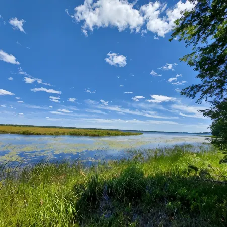 Lakefront Glamping Tent w/ensuite bathroom, King Bed, Fabulous View, near Acadia