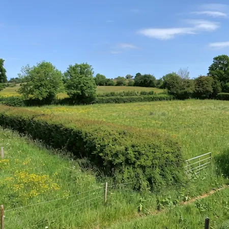 Orchard Cottage. 2-bedroomed cottage. Short breaks welcome. Free Wi-Fi