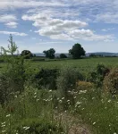 Lovely cabin with country views in popular Somerset village. - 홈스테이