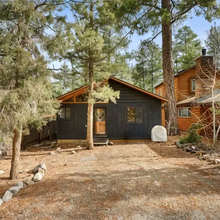 Mama Bear's Cozy Cabin