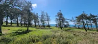 Exceptional location 2 steps from the sea for this single storey house